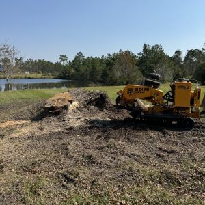 Before stump grinding, project photo 2
