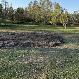 After stump grinding, project photo 3