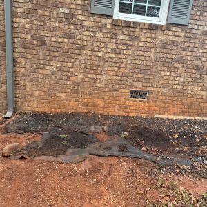 After stump grinding, project photo 7