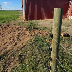 After stump grinding, project photo 9